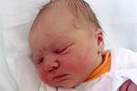 Tina Hlobilová, Přerov, narozena dne 27. března 2014 v Přerově, míra: 52 cm, váha: 3 390 g 