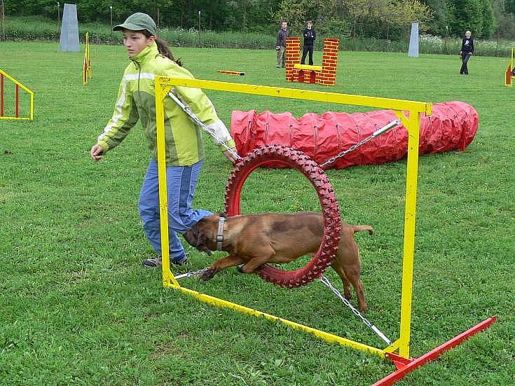 Agility na cvičišti za areálem Na střelnici