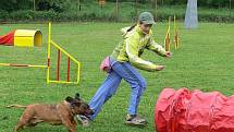 Agility na cvičišti za areálem Na střelnici