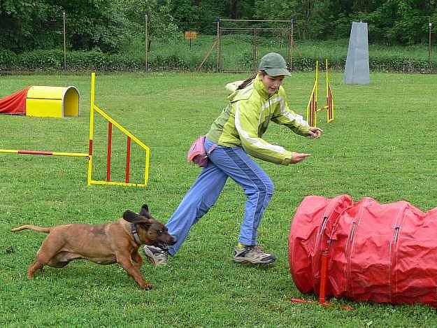 Agility na cvičišti za areálem Na střelnici