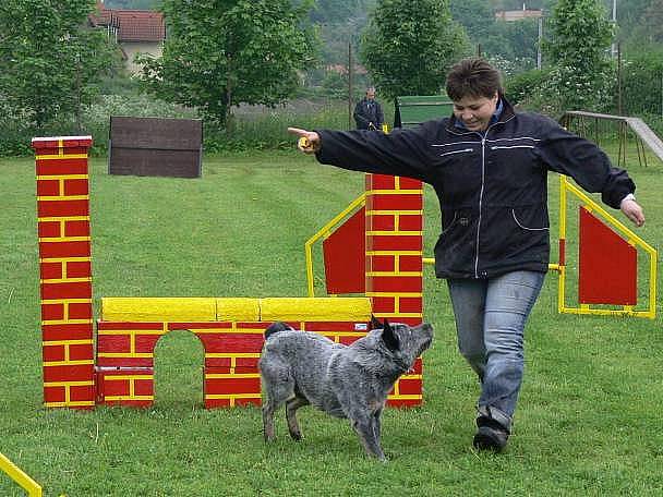 Agility na cvičišti za areálem Na střelnici