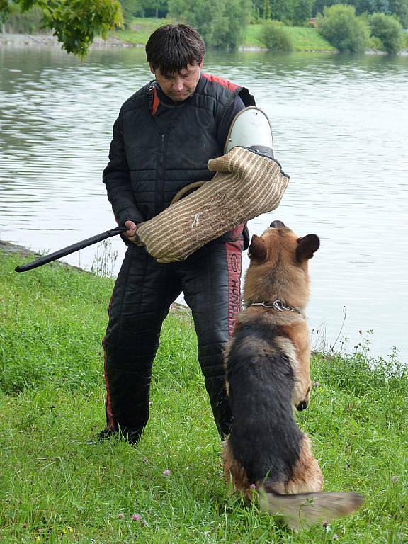 Tři výstřely, řeka, pes a psovod. Přepad přes Bečvu je typicky hranickým závodem, při kterém má pes za úkol přeplavat řeku, zaútočit na figuranta a vyčkat příchodu psovoda. 