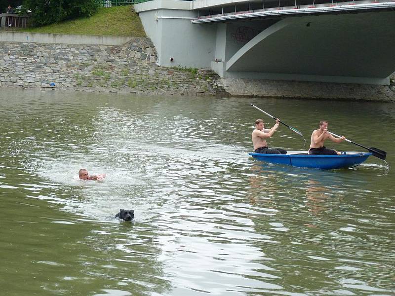 Tři výstřely, řeka, pes a psovod. Přepad přes Bečvu je typicky hranickým závodem, při kterém má pes za úkol přeplavat řeku, zaútočit na figuranta a vyčkat příchodu psovoda. 