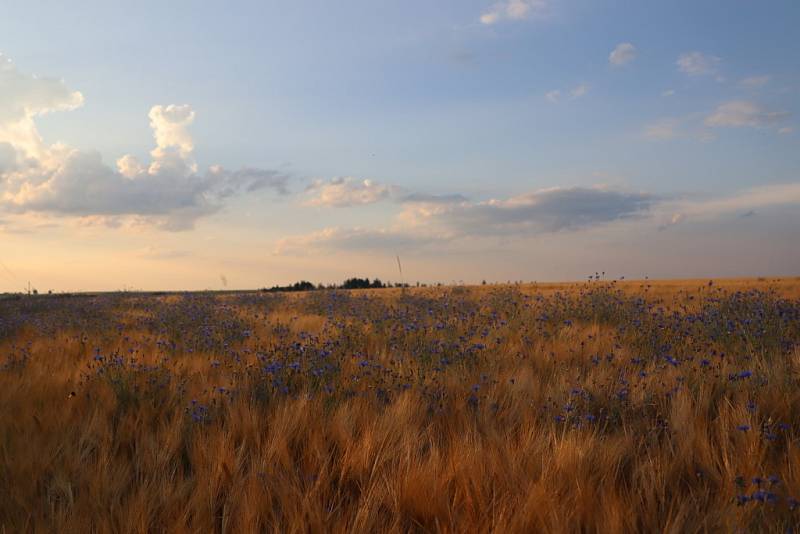 Nad Odrami, u Dobešova a Veselí, je krajina otevřená nejen větrům a slunci.