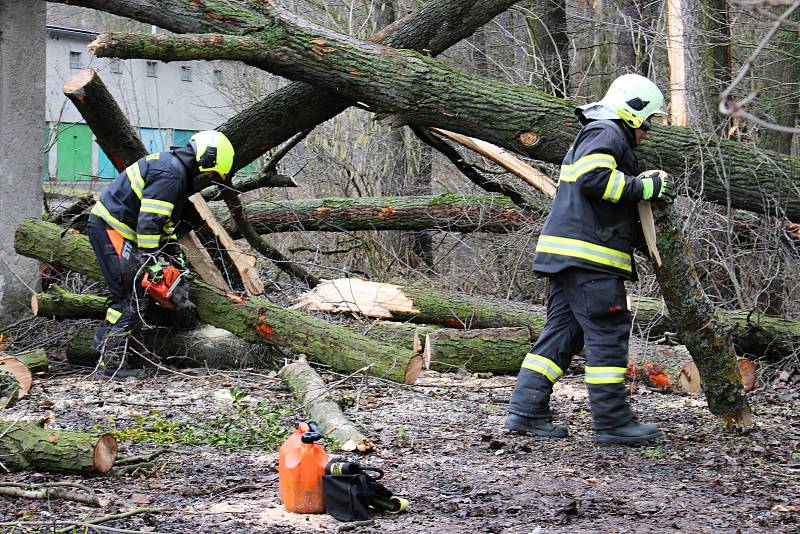 Hasiči odstraňovali v pondělí  10. února po poledni stromy, který silný vítr vyvrátil na garáž na Nové ulici v Hranicích.