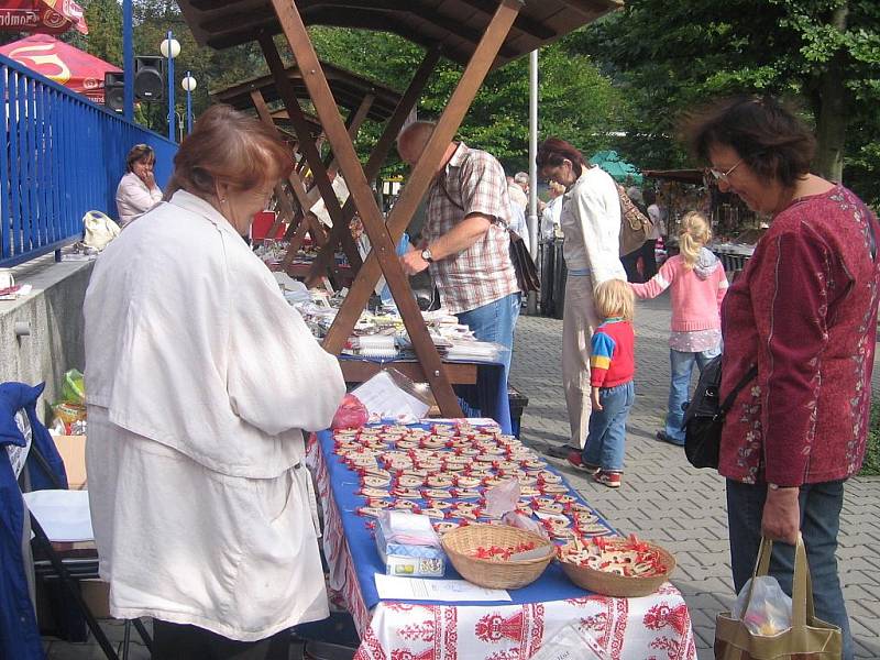 Den srdce v Lázních Teplice nad Bečvou přinesl bohatý program. Na terase lázeňského sanatoria Bečva se představila revivalová skupina ABBA Radka Kňury, taneční skupina Oldies a klaun Hopsalín. 