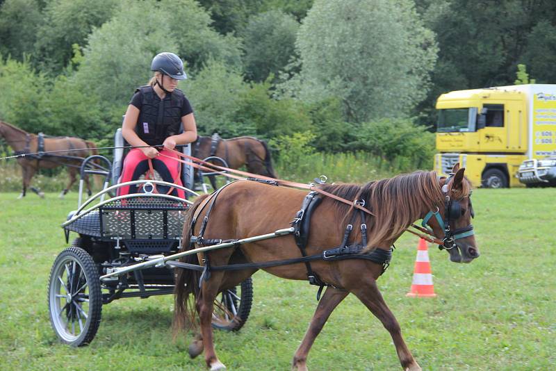 Závody koňských spřežení v Hustopečích nad Bečvou