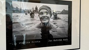 Výstava českého fotografa Jana „Kočičáka“ Kočího s názvem „…vteřina života“ je od začátku dubna k vidění v hranické Galerii Severní křídlo zámku.