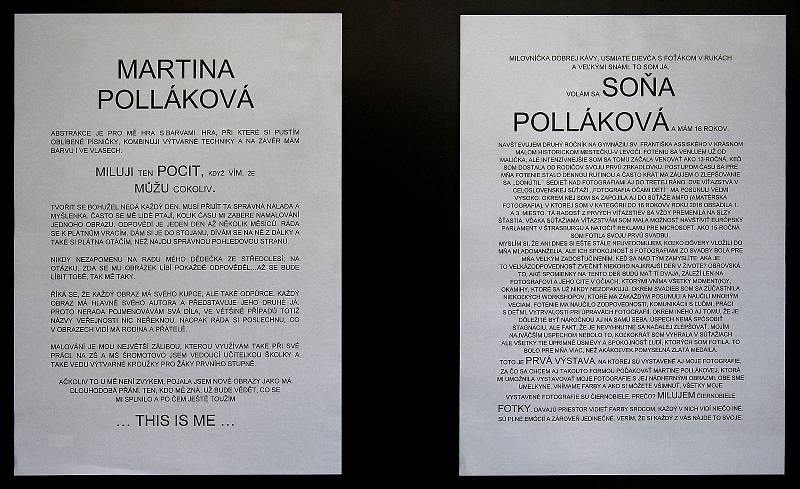 Výstava abstraktních obrazů Martiny Pollákové a fotografie Soni Pollákové v galerii Severní křídlo zámku v Hranicích