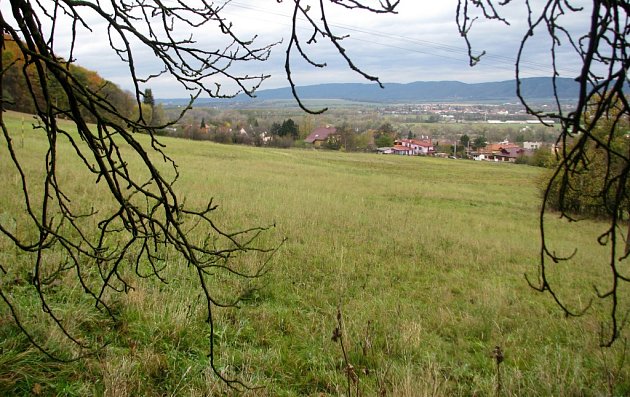 Pohled na louky Pod Bílým kamenem