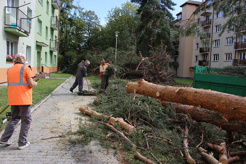 Vichřice napáchala škody na třídě 1. máje, kde spadl nedaleko obchodu Hruška vrostlý smrk. Na sídlišti Struhlovsko to odneslo hned stromů několik. Před domem číslo 1410 a 1411 nevydržely nárazy silného větru hned tři vzrostlé borovice a na dům s číslem 14