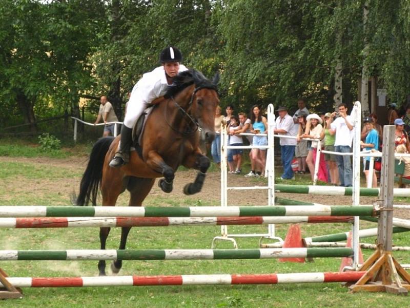 Na Mariánově se jezdci předvedli v parkurových, vozatajských a westernových soutěžích.