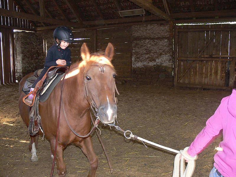 Na koňské farmě rodiny Ryškových v Hluzově na Hranicku už jezdí v sedle i nejmladší z rodu, malá Viki.