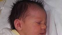 Rozálie Paliková, Hranice, narozena dne 29. srpna 2016 v Přerově, míra 47cm, váha: 2680 g  