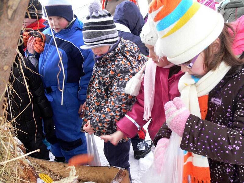 Děti z mateřinky na Struhlovsku v Hranicích krmily lesní zvěř