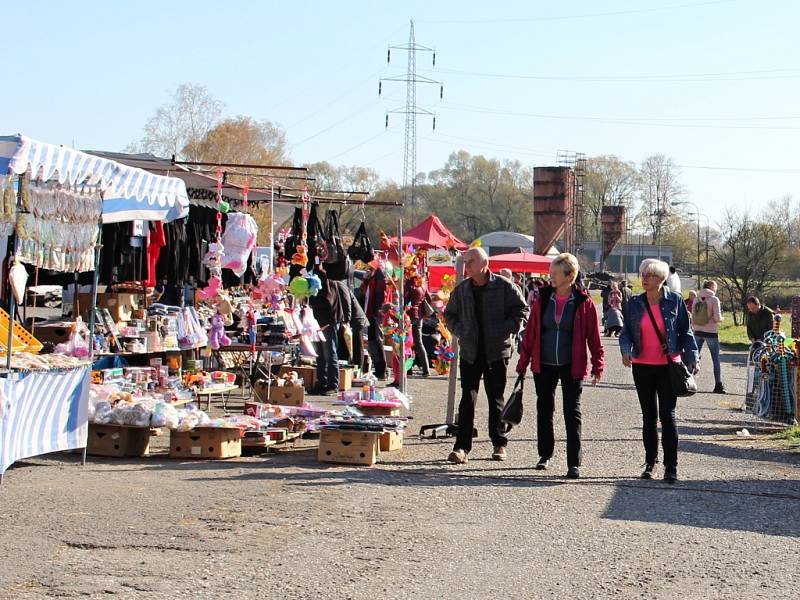 Výlov rybníku Choryně Velká v Hustopečích nad Bečvou, neděle 31. října 2021.