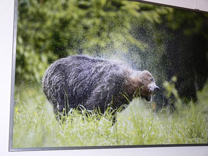 Výstava fotografií s názvem Prchavá setkání