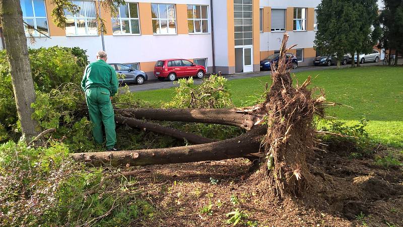 Takovou spoušť napáchala v noci na pondělí vichřice v areálu hranické nemocnice