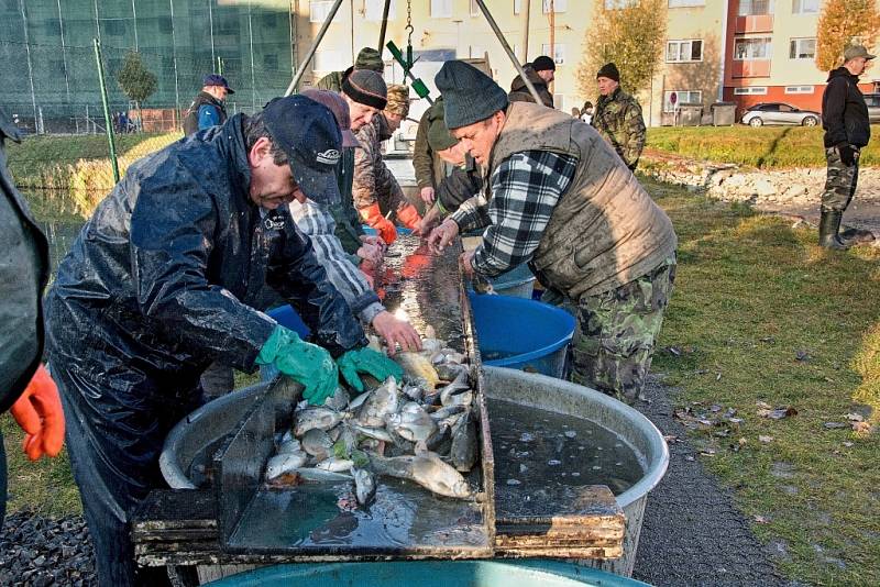 Výlov rybníku Kuchyňka v Hranicích, sobota 6. listopadu 2021.