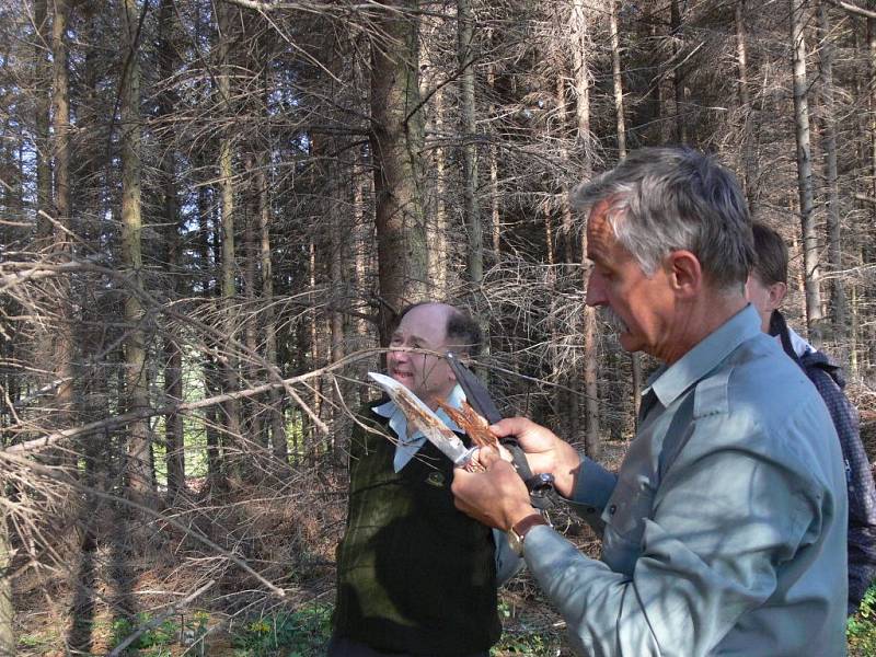 V lesích na Hranicku se rozšířil kůrovec, situací se zabývá inspekce