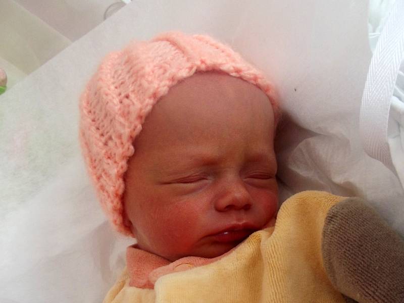 Thea Kolenovská, Přerov, narozena dne 12. srpna 2013 v Přerově, míra: 43 cm, váha: 2032 g 