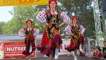 Vystoupil i folklorní soubor Igok z Ukrajiny