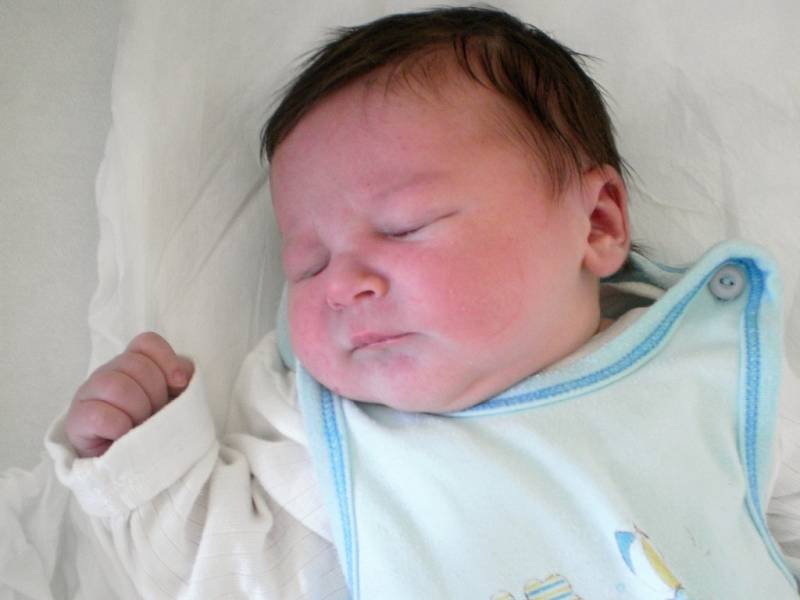 Štěpánek Manda, Čekyně, narozen dne 26. února 2013 v Přerově, míra: 53 cm, váha: 4 300 g 