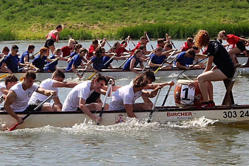 Festival dračích lodí na hranické Bečvě - závody základních a středních škol