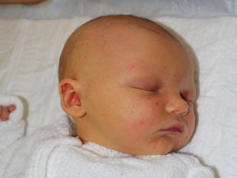 Sabinka Grmelová, Chropyně, narozena dne 7. ledna 2013 v Přerově, míra: 49 cm, váha: 3 560 g 