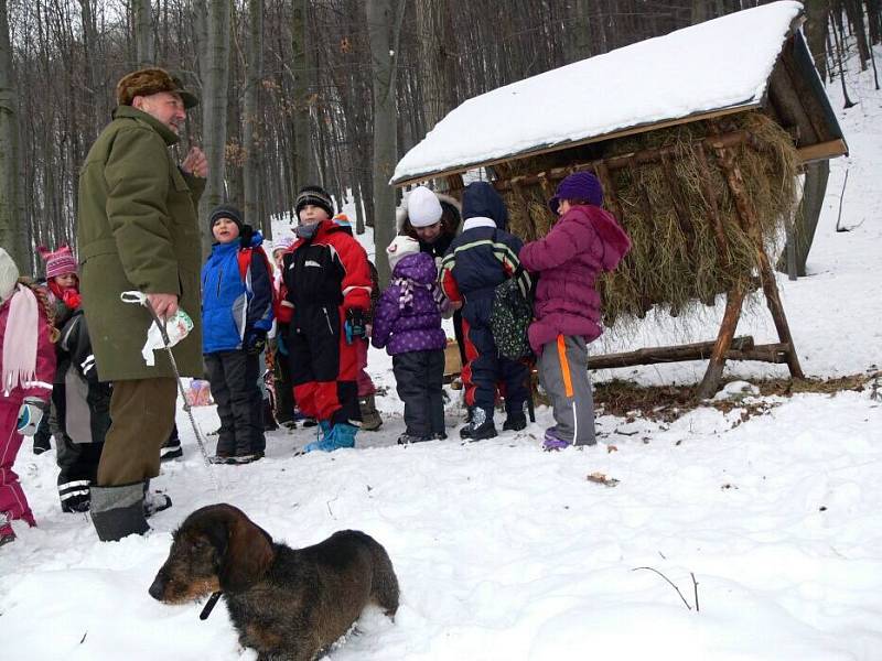 Děti z mateřinky na Struhlovsku v Hranicích krmily lesní zvěř