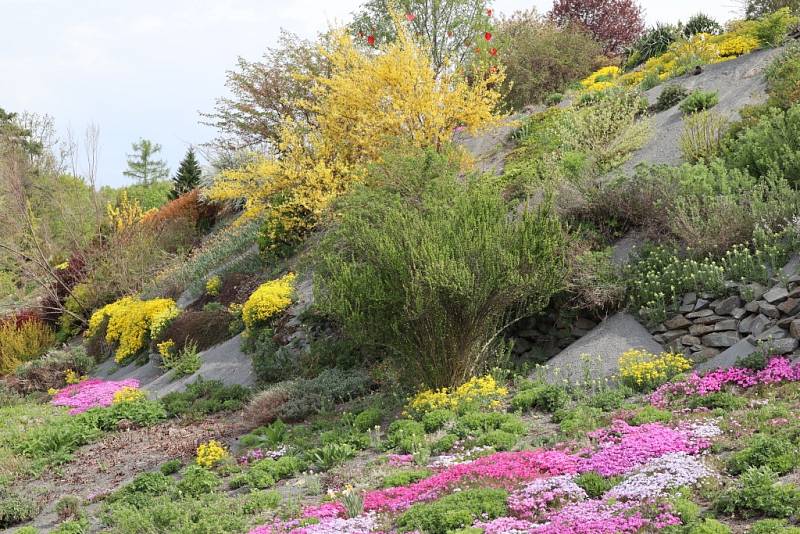 Makču Pikču, tento půvabný a exoticky znějící název nese zajímavé arboretum v obci Paseka na úpatí Nízkého Jeseníku.