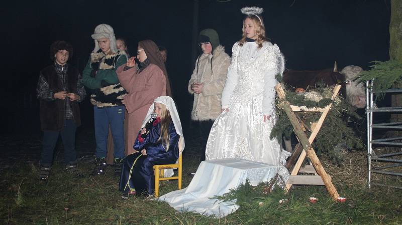 Ve Vysoké na Hranicku se uskutečnil druhý ročník předvánoční akce, nechybět ani betlém s živými zvířaty. Lidé si společně také zazpívali koledy.