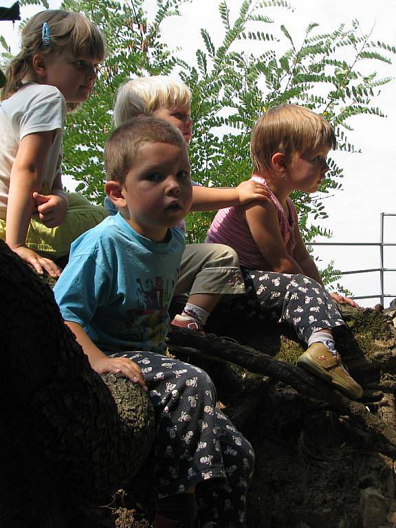 Dětem stromy v chráněné oblasti Hůrka v sousedství Hranic vůbec nepřekážejí. Výlet k vyhlídce u svatého Jana nebo k propasti jim naopak dokáží příjemně zpestřit.