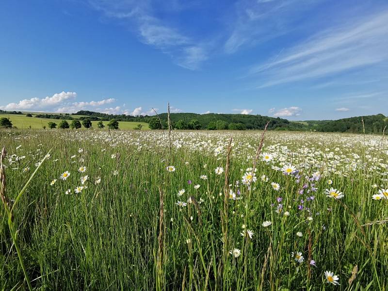 Bývalá obec Ranošov leží ve zpřístupněné části vojenského prostoru poblíž Kozlova na Potštátsku.