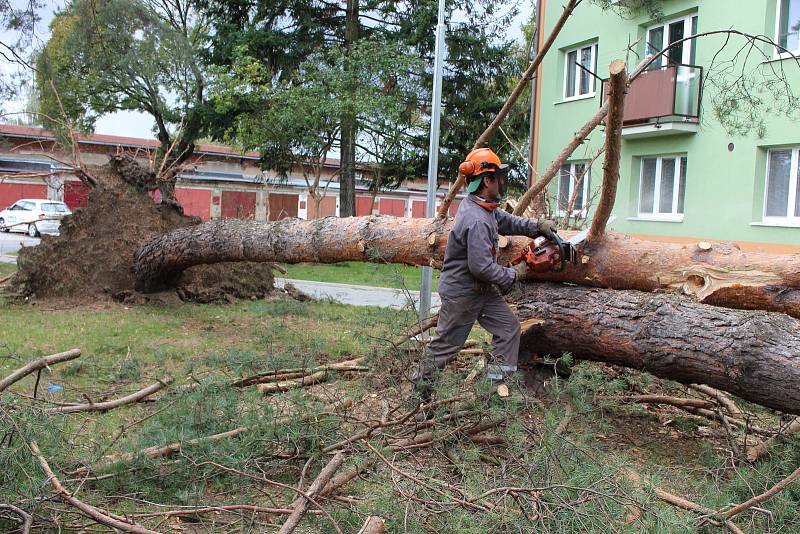 Vichřice napáchala škody na třídě 1. máje, kde spadl nedaleko obchodu Hruška vrostlý smrk. Na sídlišti Struhlovsko to odneslo hned stromů několik. Před domem číslo 1410 a 1411 nevydržely nárazy silného větru hned tři vzrostlé borovice a na dům s číslem 14