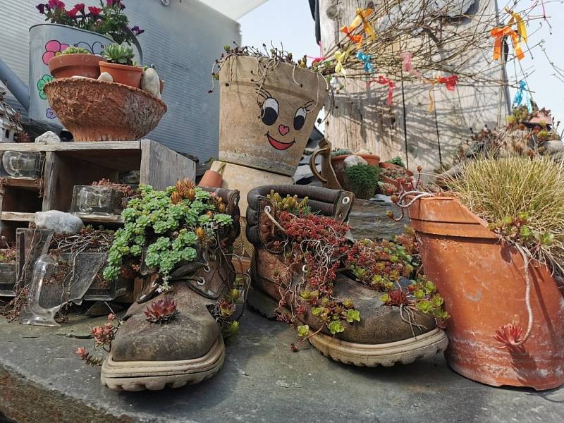 Makču Pikču, tento půvabný a exoticky znějící název nese zajímavé arboretum v obci Paseka na úpatí Nízkého Jeseníku.