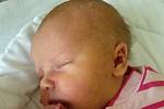 Eliška Přikrylová, Přerov, narozena dne 24. března 2014 v Přerově, míra: 46 cm, váha: 2 760 g 