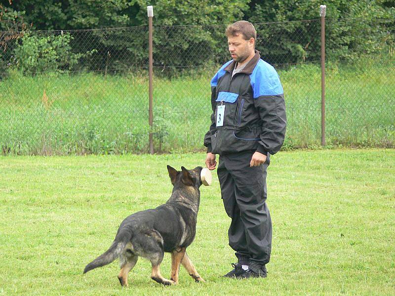 Třicet psích závodníků předvádělo v Hranicích svou poslušnost a obranu.