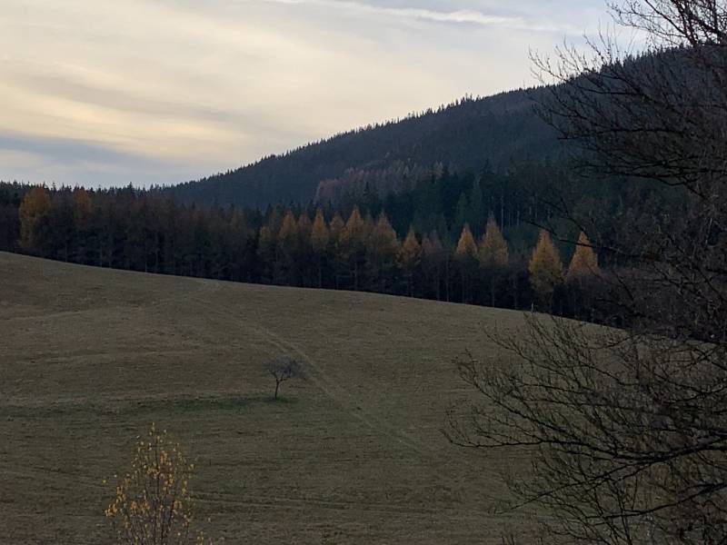 Pomezí Moravy a Slovenska, rozsáhlé pohoří Javorníky.