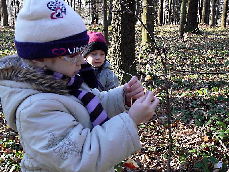 Lesní zvířata si také mohou užívat vyzdobených vánočních stromků.