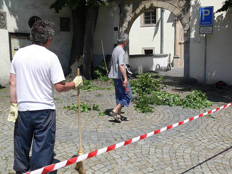 Ošetřování vzácné lípy u hranického zámku