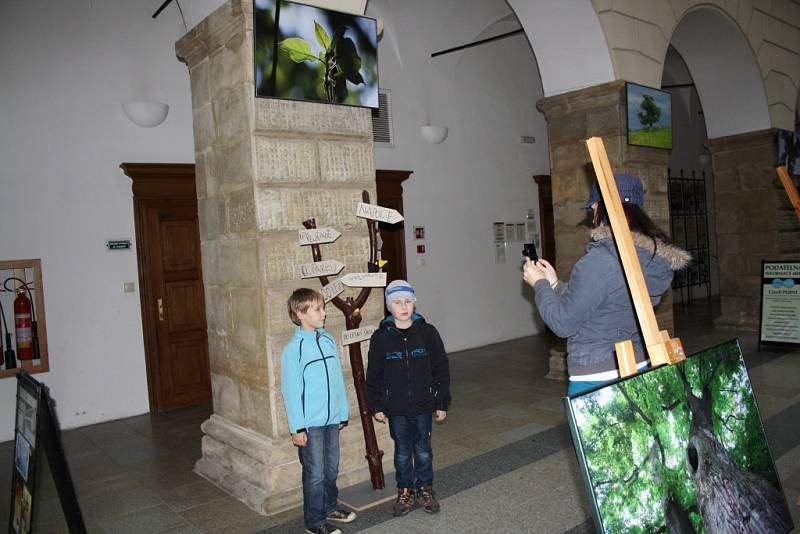 Výstava fotografií a prací dětí ze ZŠ Skalička s názvem „Dvacet pět let svobody u stromů“ ve dvoraně hranického zámku