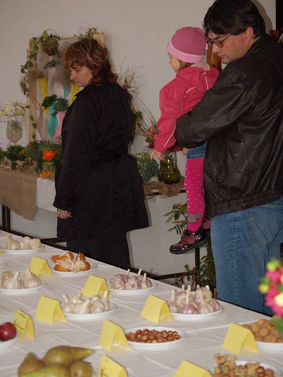 Výstava v Troubkách nabídla ukázku různých druhů ovoce a zeleniny, expozici sušených i živých květinových vazeb. 