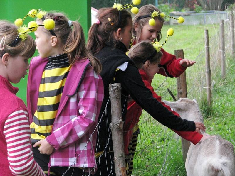 Akci s názvem Bzučení včel nachystali hraničtí včelaři a MAS Hranicko.