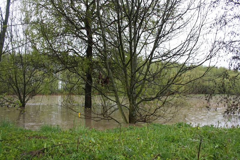 Bečva v Ústí na Hranicku 28. dubna 2017