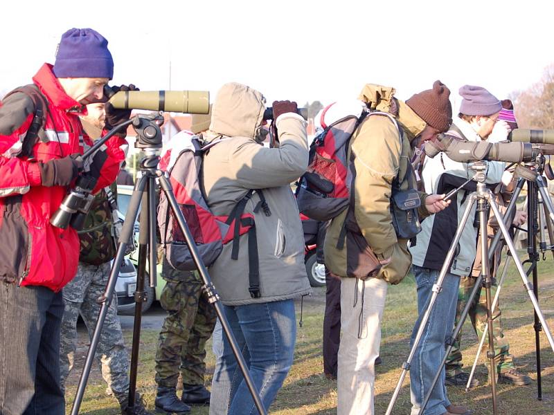 První jarní ornitologickou exkurzi si v sobotu 21. března ráno nenechalo ujít na čtyřicet účastníků.