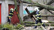 Hasiči odstraňovali v pondělí  10. února po poledni stromy, které silný vítr vyvrátil na garáž na Nové ulici v Hranicích.
