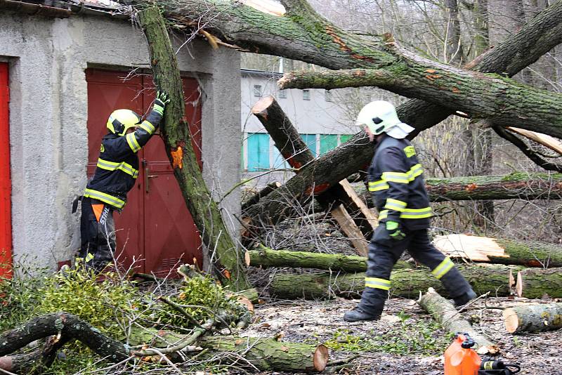 Hasiči odstraňovali v pondělí  10. února po poledni stromy, které silný vítr vyvrátil na garáž na Nové ulici v Hranicích.