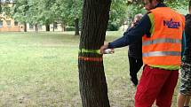 Setkání zástupců města s občany kvůli kácení stromů na Struhlovsku