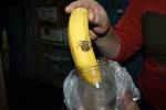 V jedné z hranických prodejen našli v banánové krabici exotického pavouka